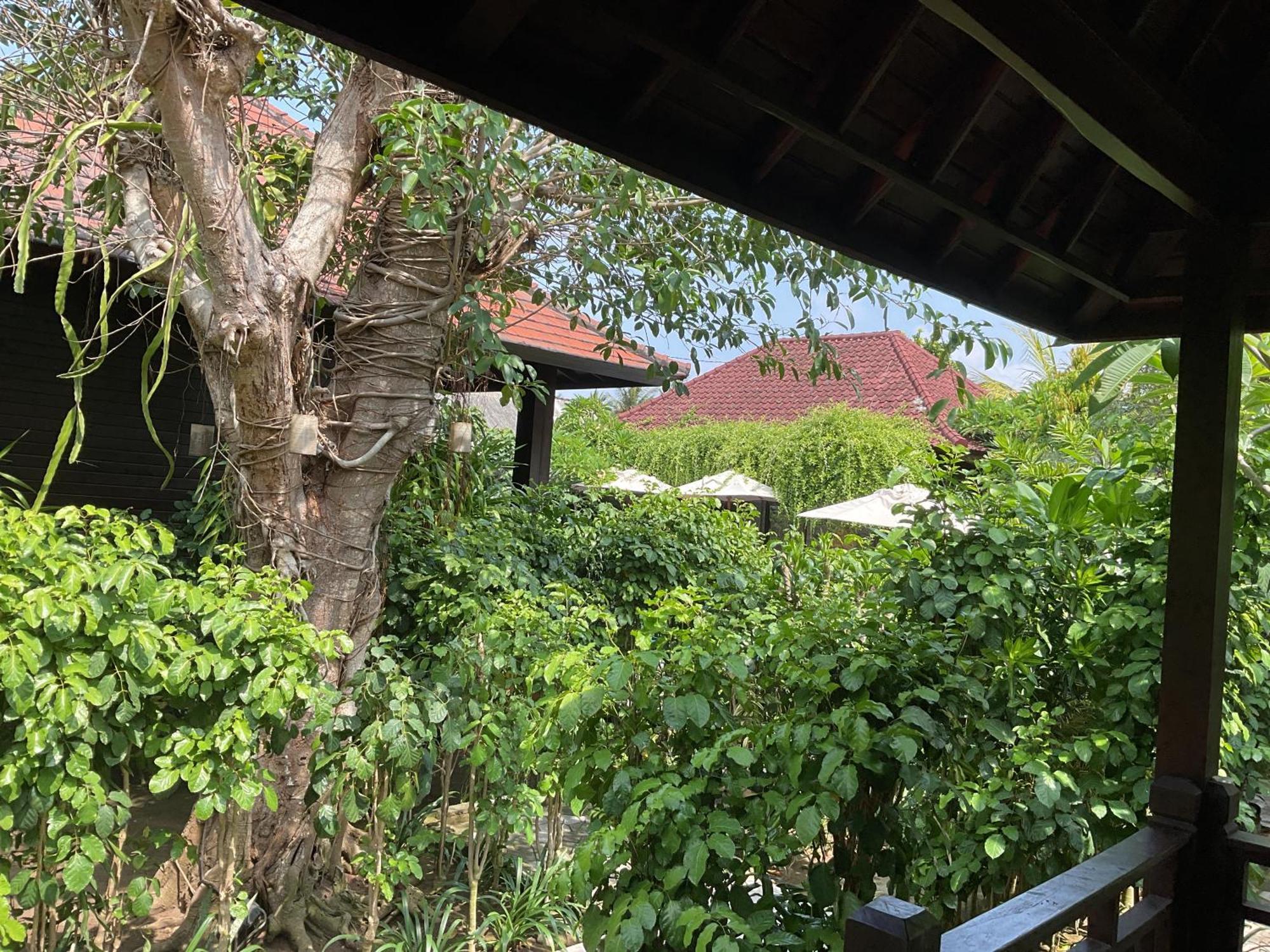 Bunutbali Villas88 Nusa Lembongan  Exterior photo